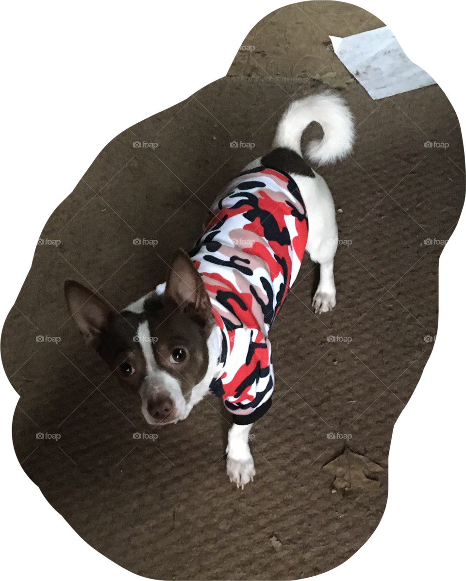 I’m styling in my new hoodie I just got today! I’m ready to play in the snow!! 