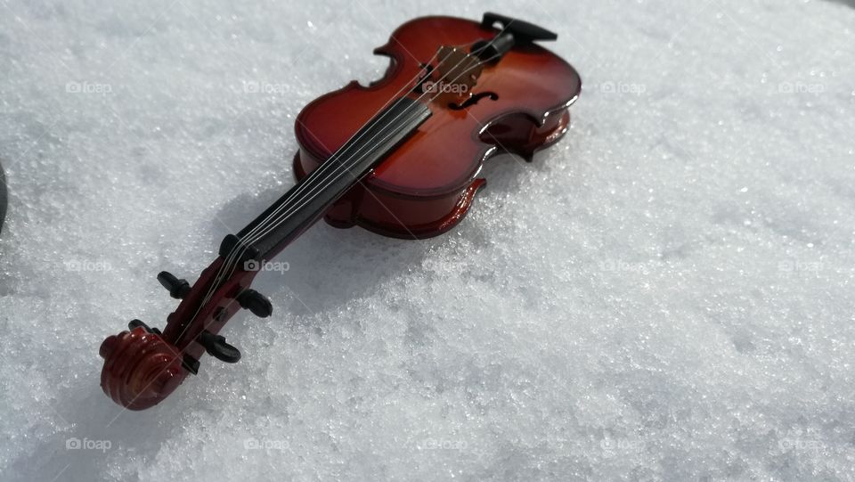 #stringed instrument#violin#classic musical instrument#noperson