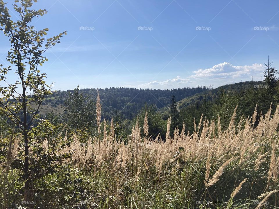 Gorgeous view of mountains. Green nature time to relax. Blu sky and big mountains. Perfect autumn hike. Perfect day to take a hike. Polish mountains. Day trip. Live hiking.