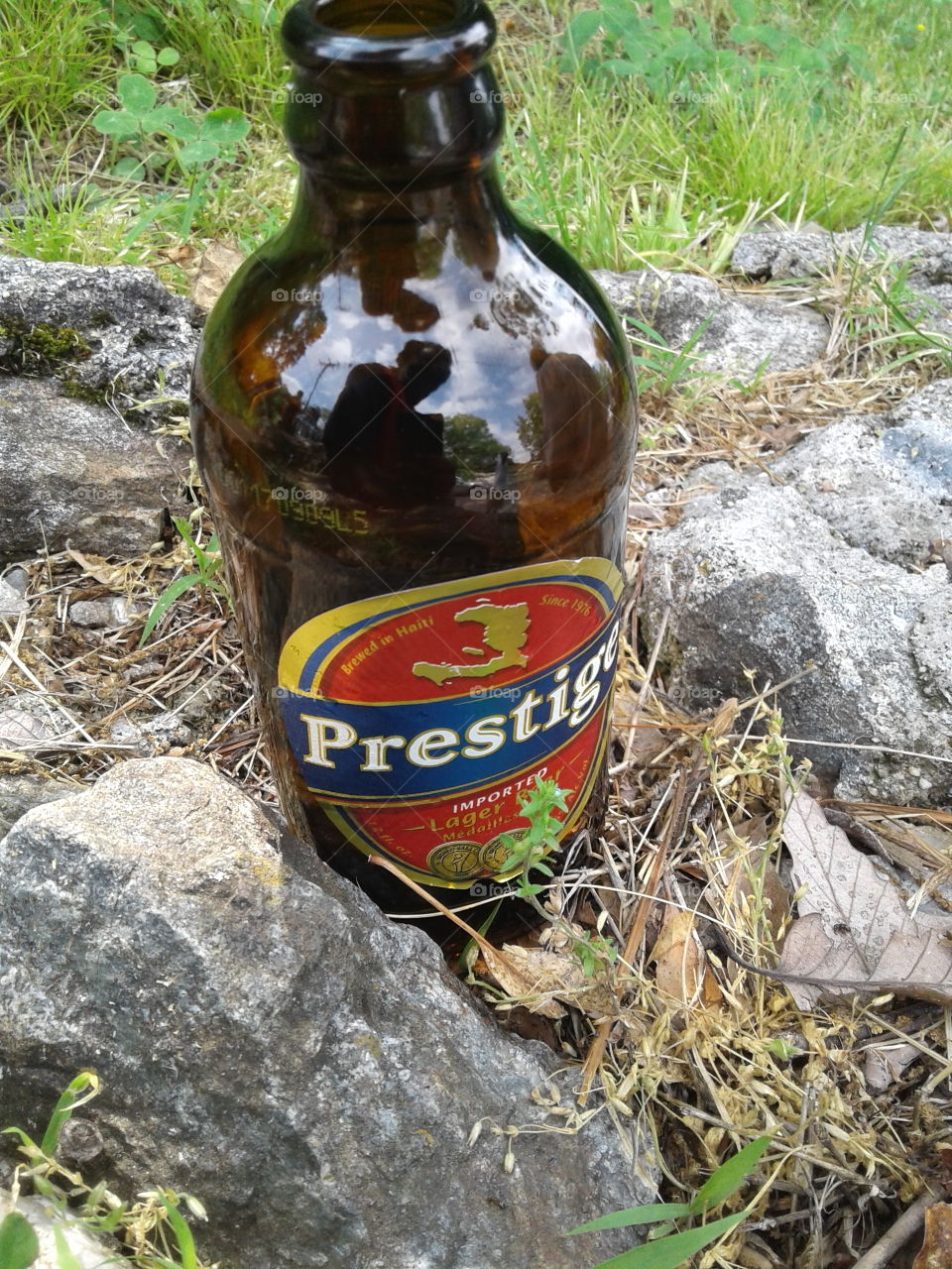best beer in the world  prestige