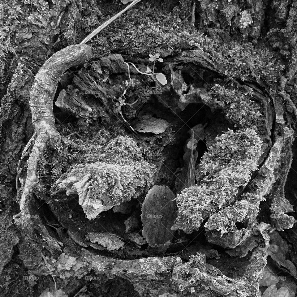 Natural fashion to align once behavior..