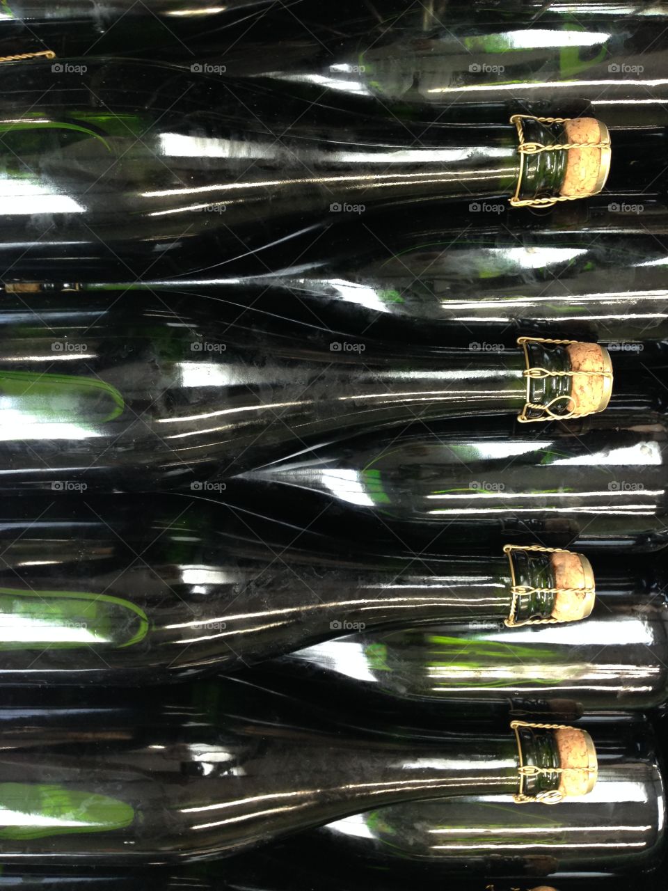 Champagne bottles at vineyard 