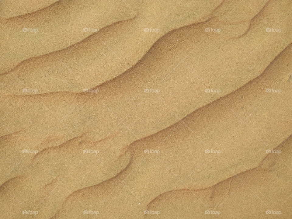 A closeup of sand dune texture