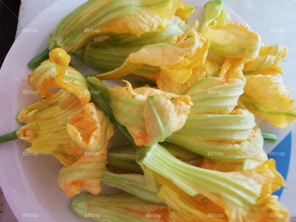 zuchini flowers yellow