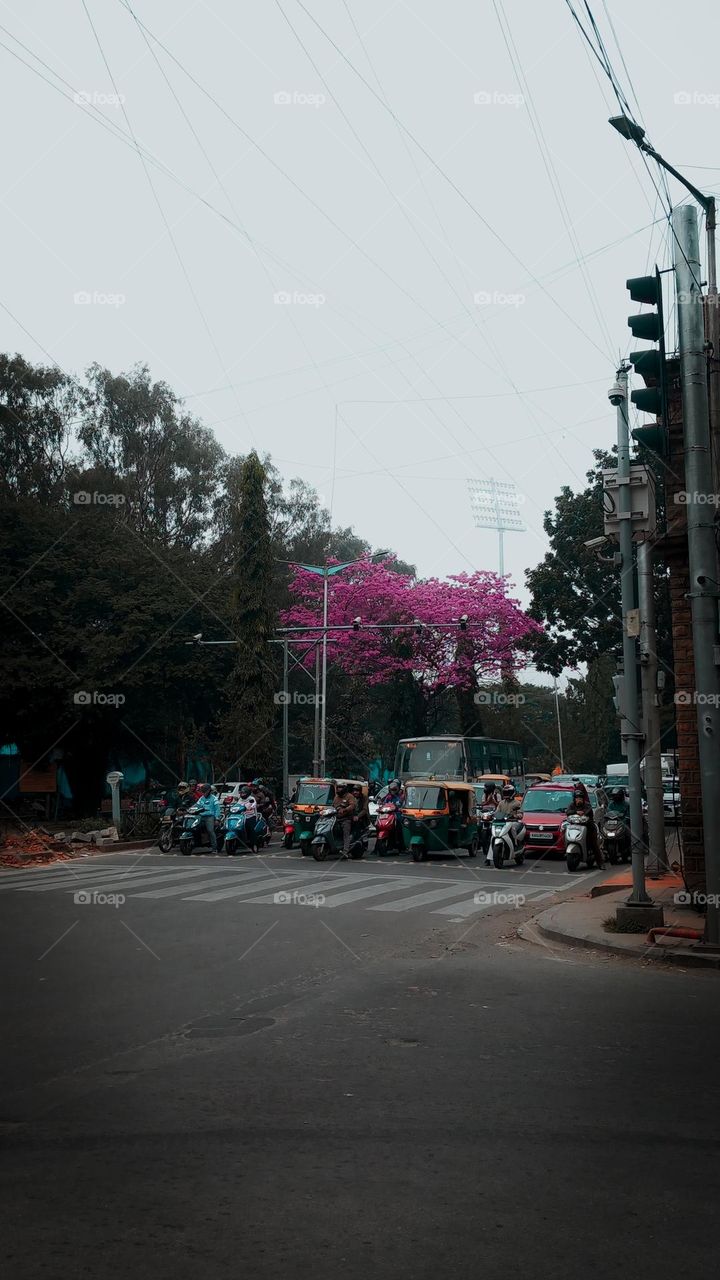 banglure city, in signel light