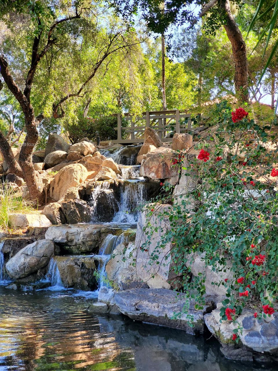 Red Flowers by the Waterfall