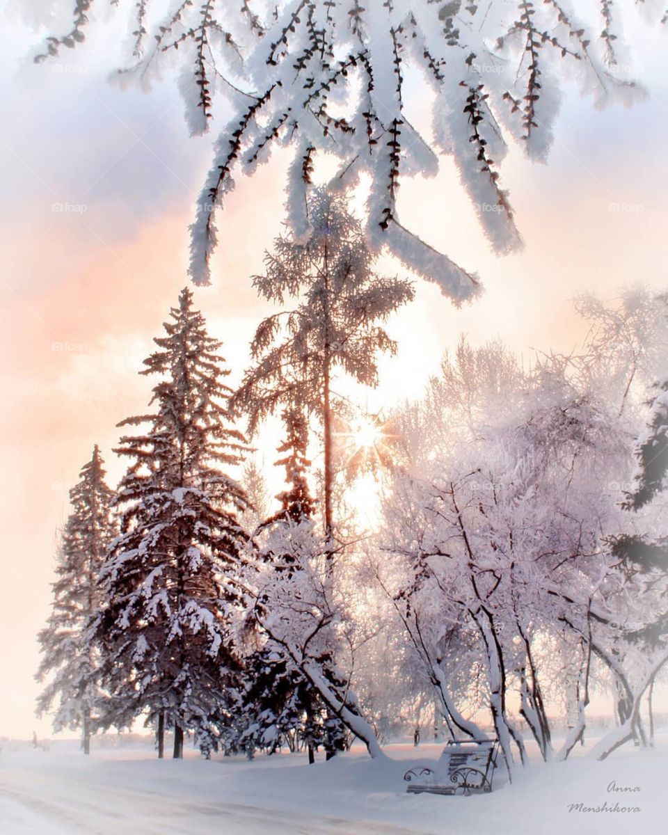 It was a beautiful day.. the sun was shining, snow and tree.. очень карашо