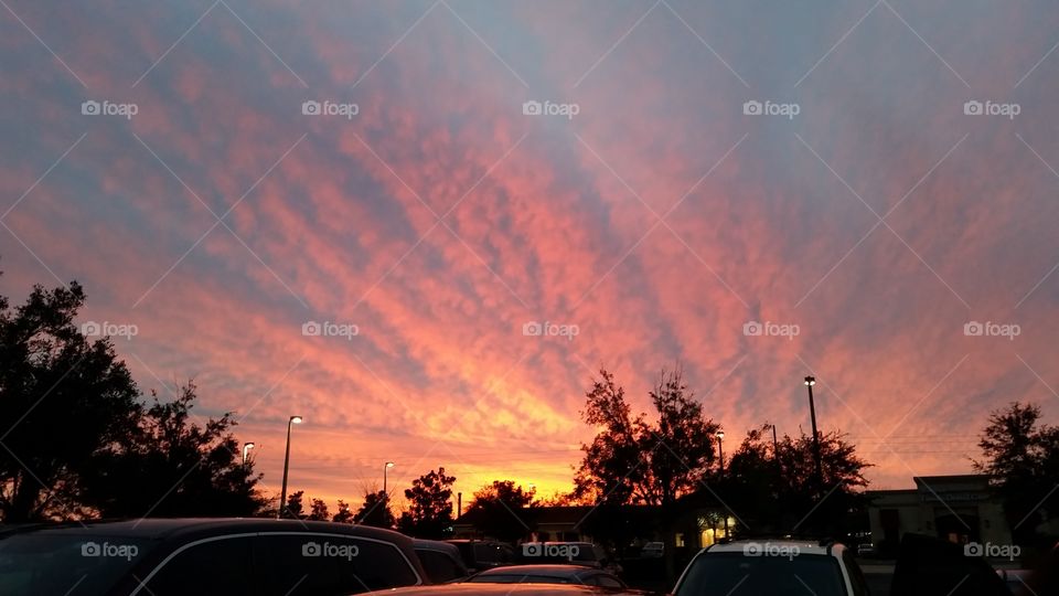 Sunset in Tampa, Florida