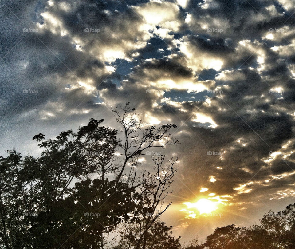 sunset clouds sun trees by Nikita80