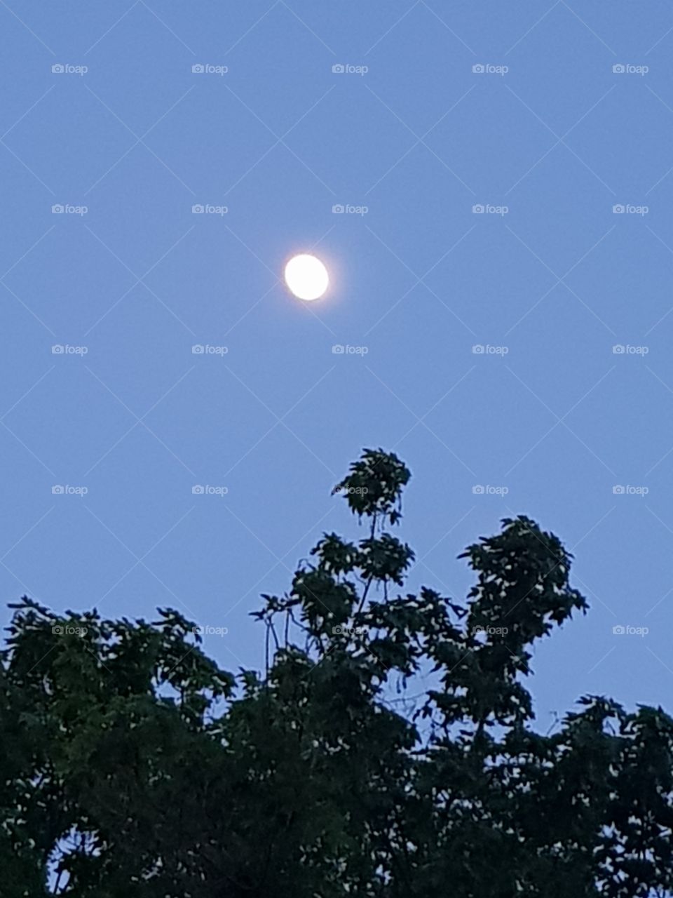 night is comming soon