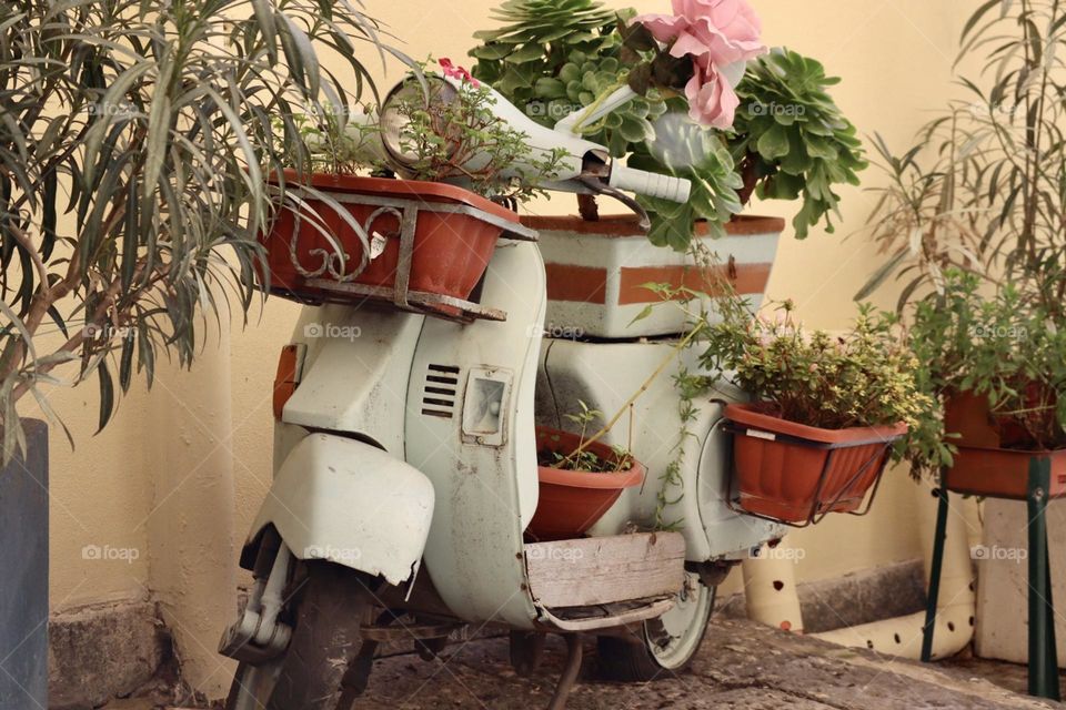 Old Vespa full of plants pots