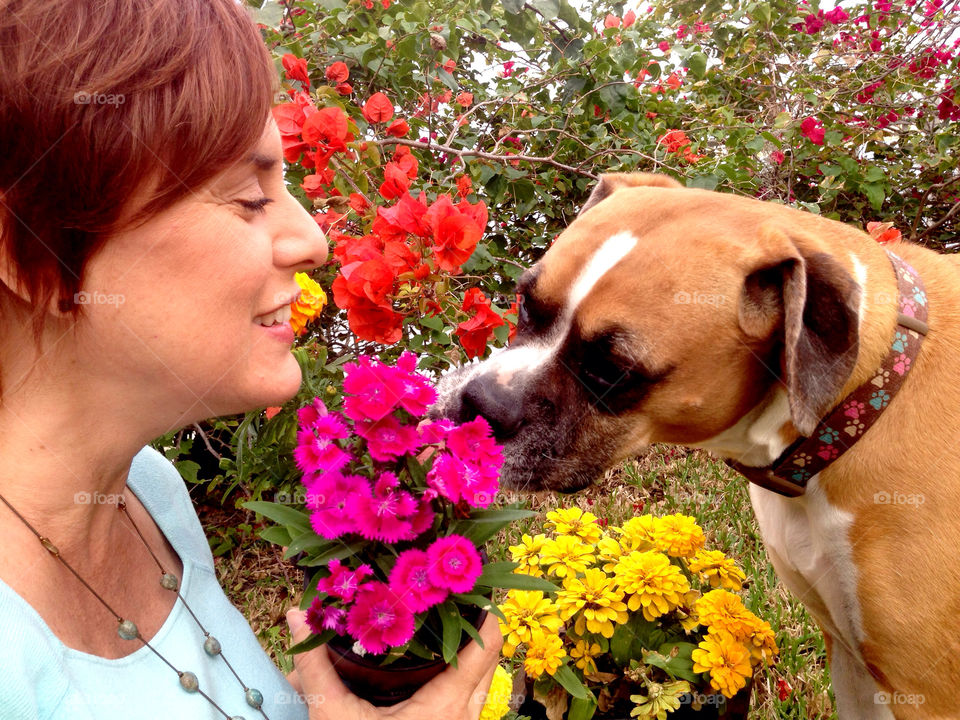 Woman with dog in backyard