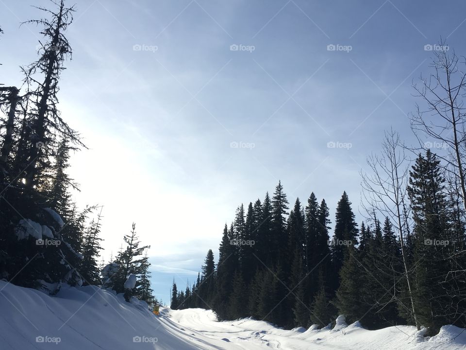 Went sledding today on the sugar creek loop. Wells bc. Caribou mountains  
