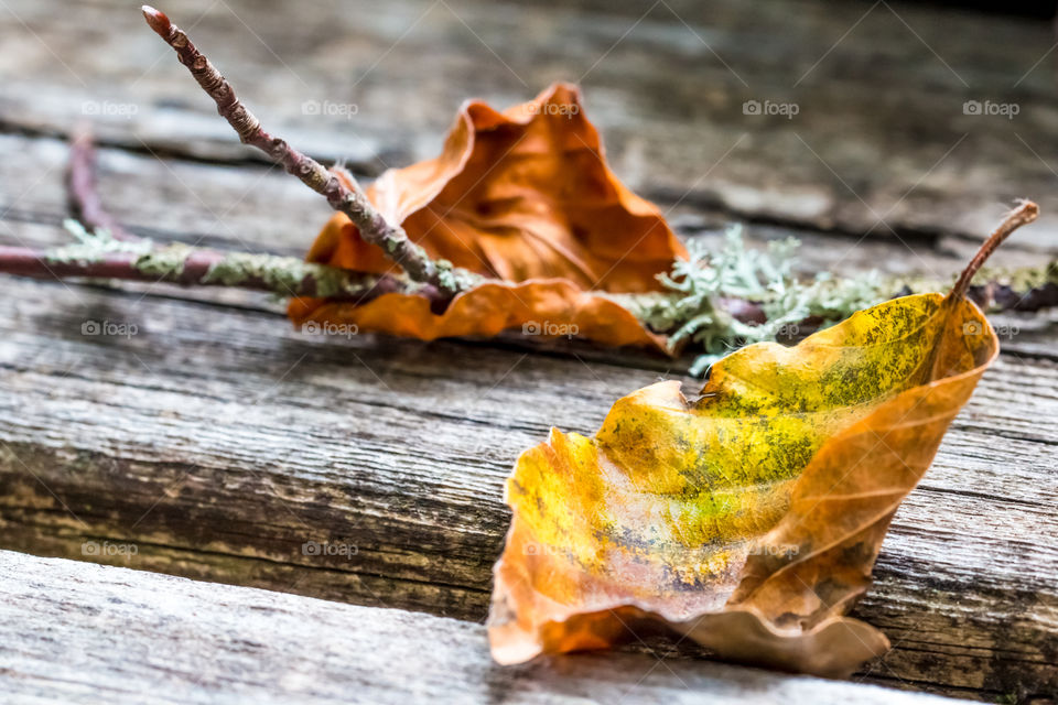 Autumn Dry Leaves On Aged Wooden Table
