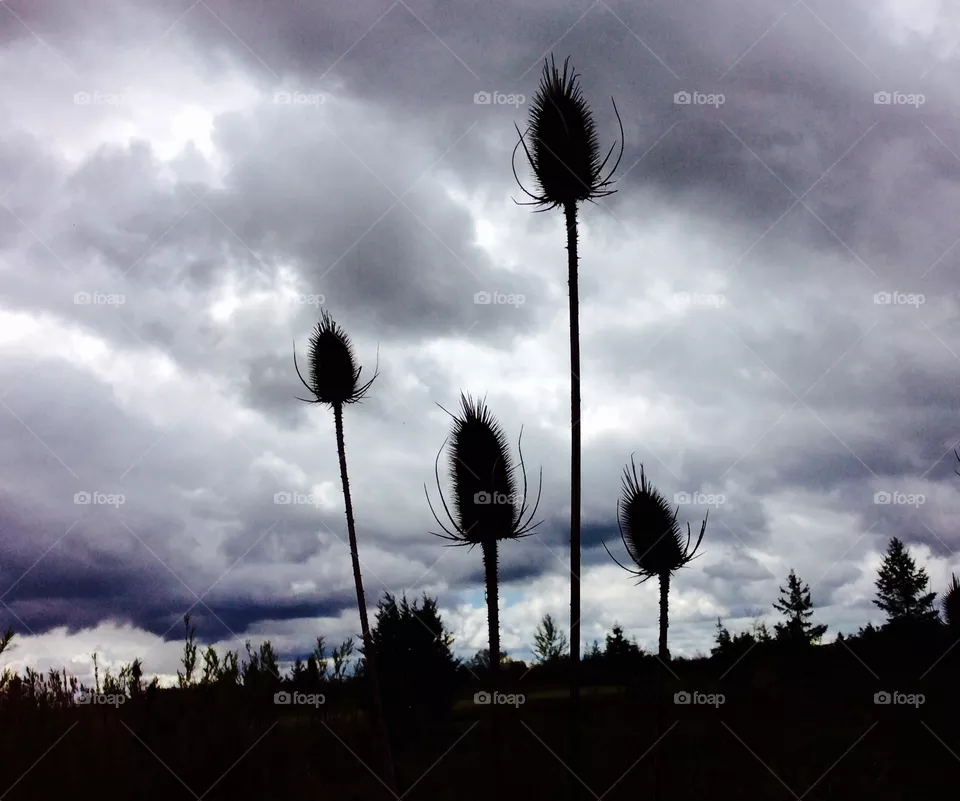 Cloudy day