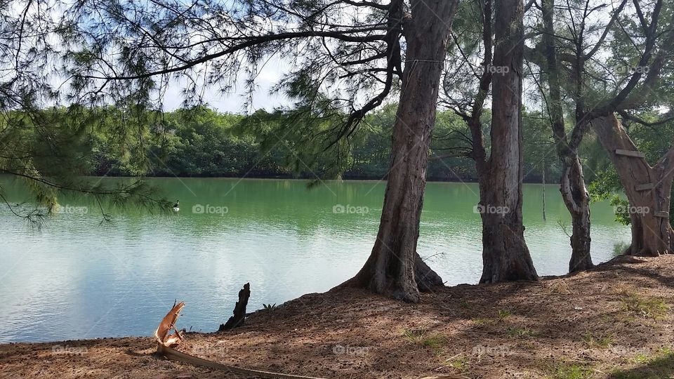 Virginia key. Biking exploration in Miami