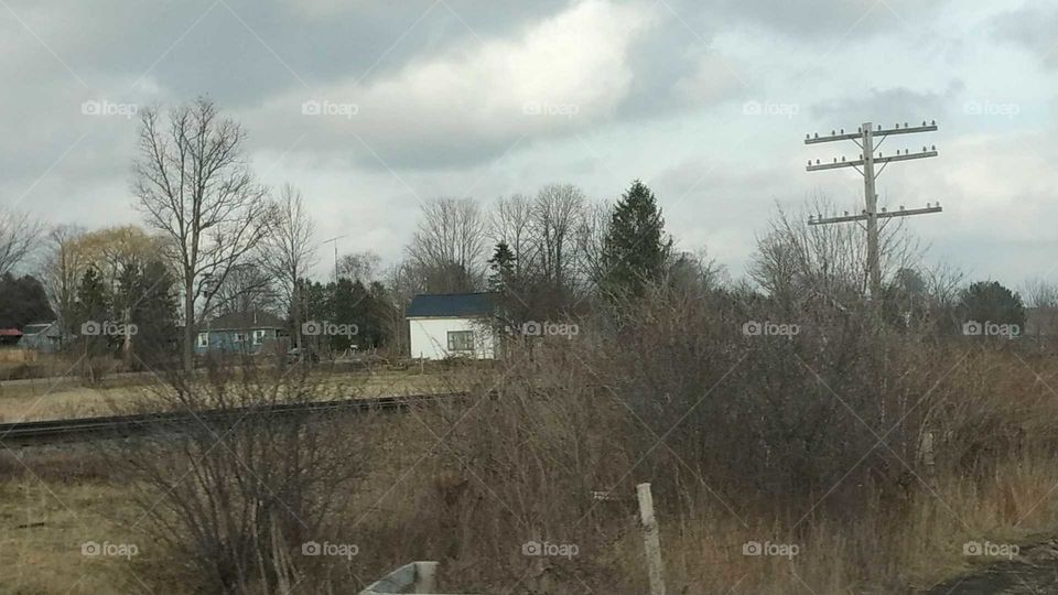 Landscape, Calamity, Tree, Storm, Weather