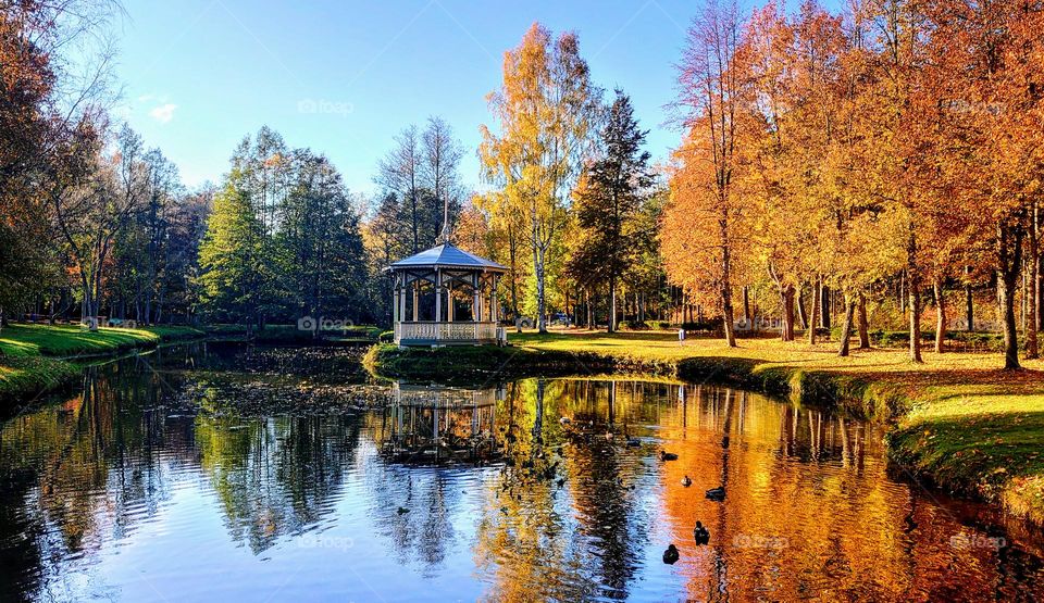 Autumn landscape 🍁🍂 The Park 🍂🍁 Reflection 🍂🍁