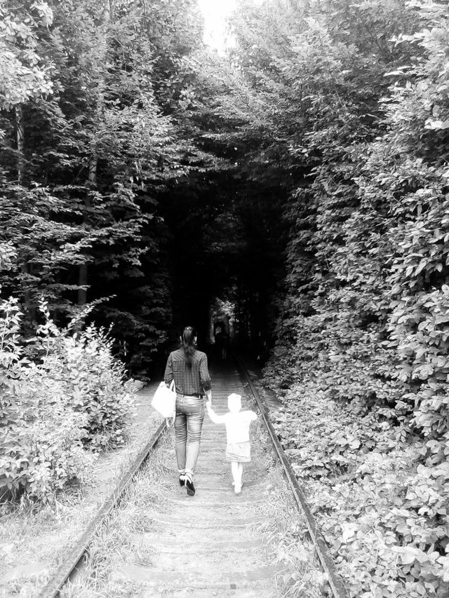 walking through a tunnel made of trees 🌳