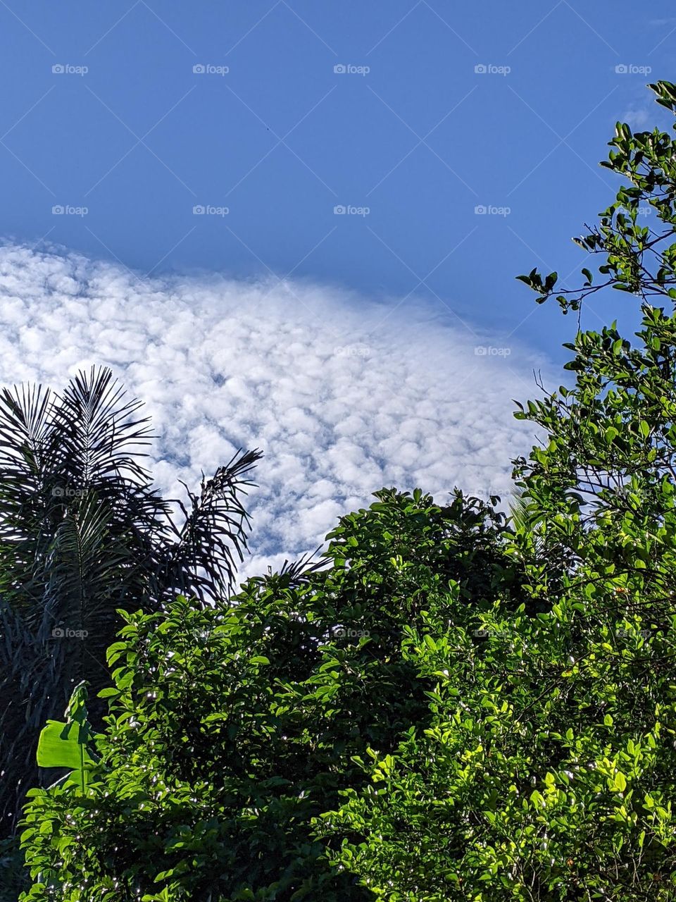 beautiful natural scenery