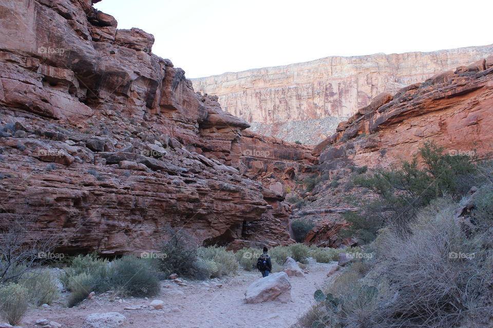 hiking the valley of the Grand Canyon and exploring the beautiful land.