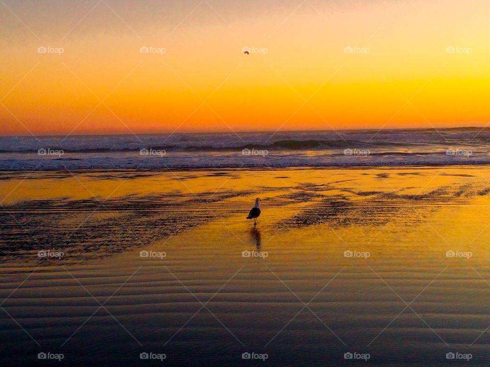 Cannon Beach, OR