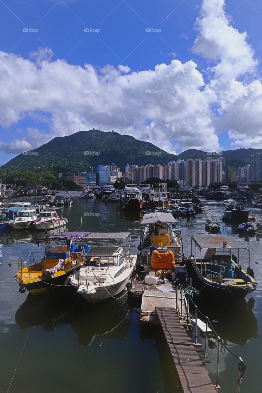 Scenery of Typhoon Shelter (Sam Ka Tsuen Typhoon Shelter, Hong Kong)