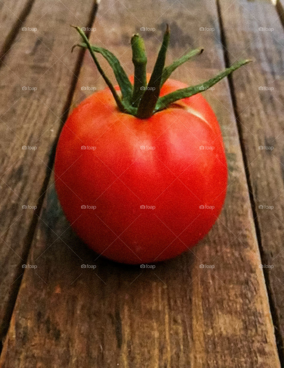 round red tomato