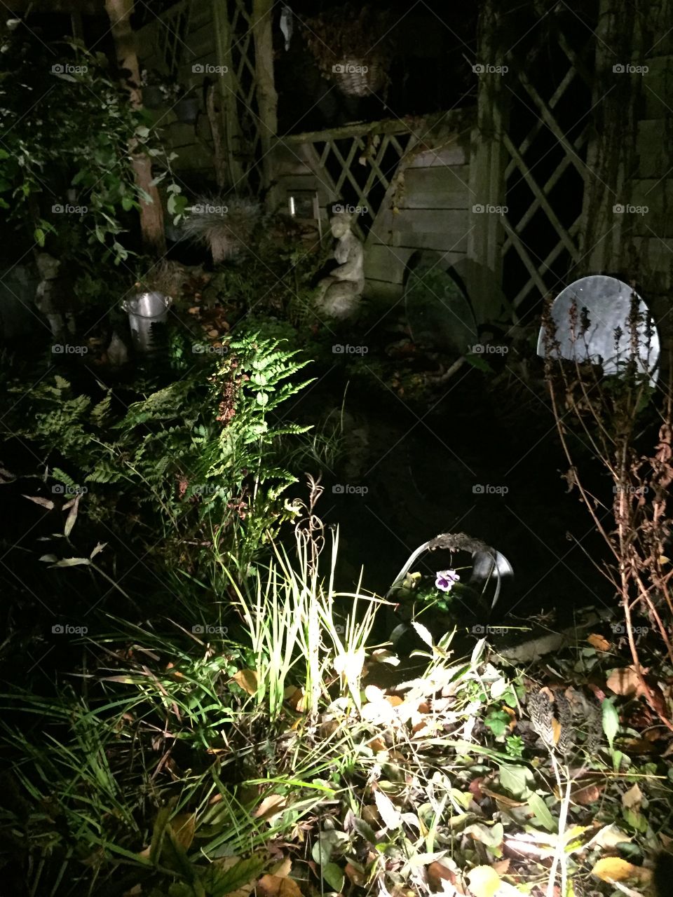 Garden night
