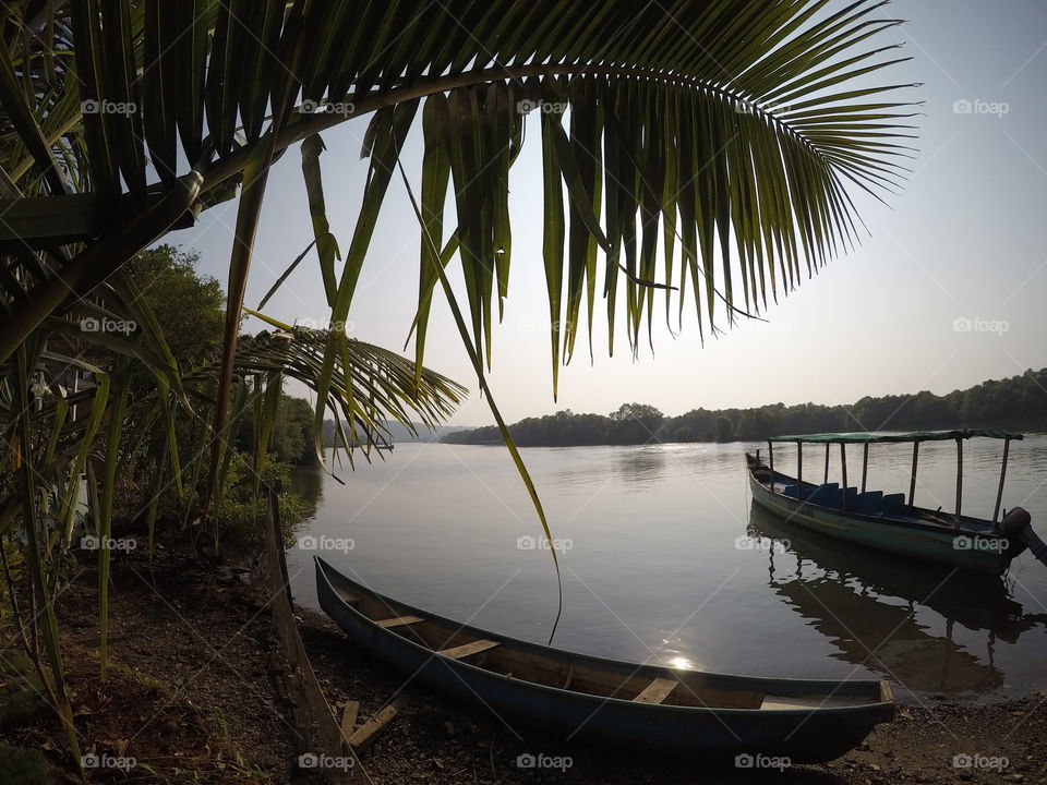 At A Goan Riverside Watching The Boats