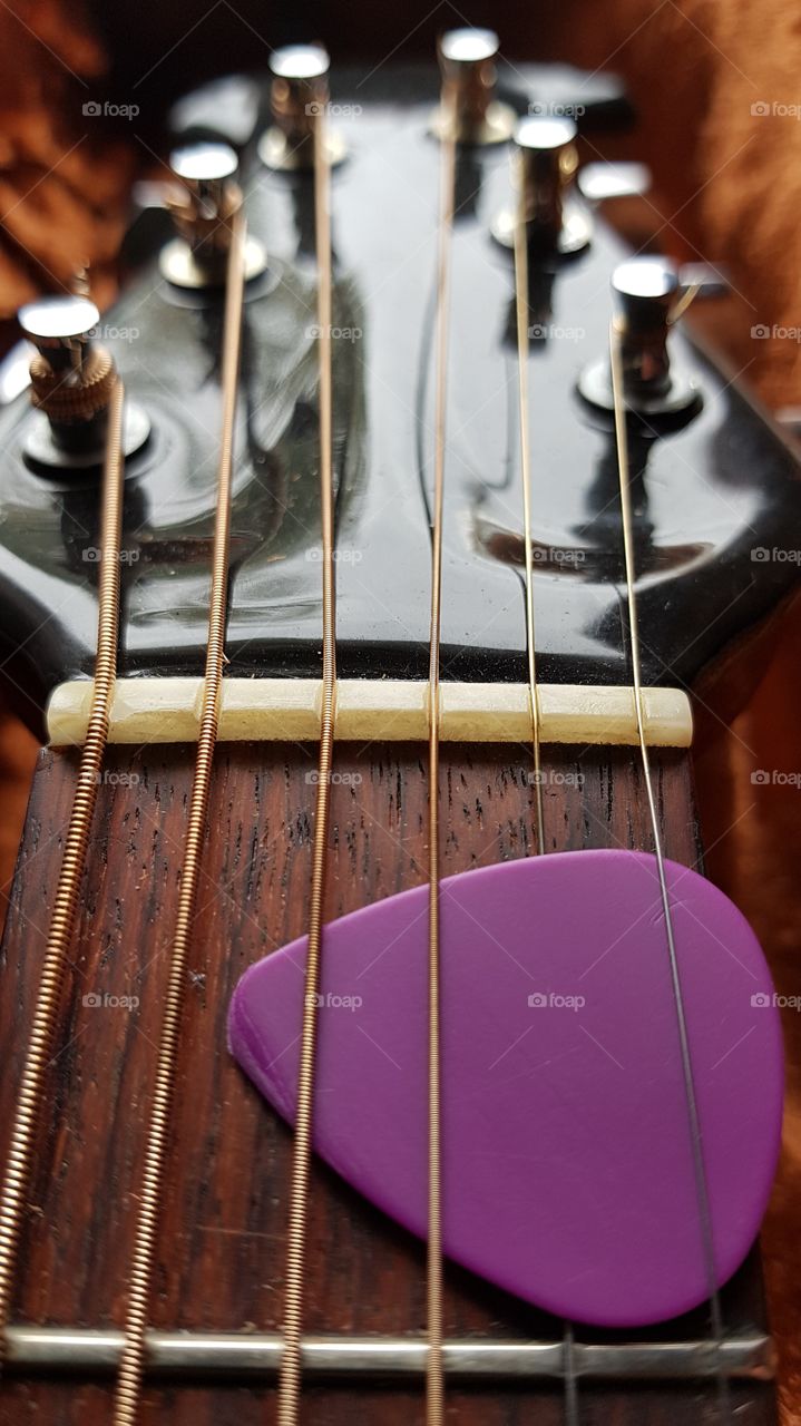 Guitar Head And Purple Pick