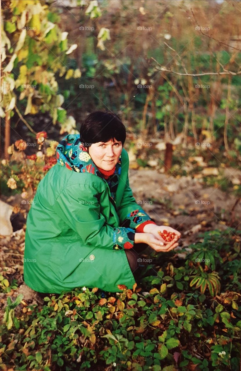 Strawberries in November