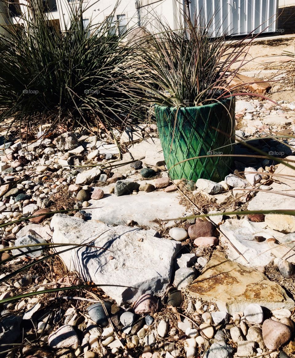 Green Pot with Dessert Rocks. Waiting for the rain to quench it’s thirst. 