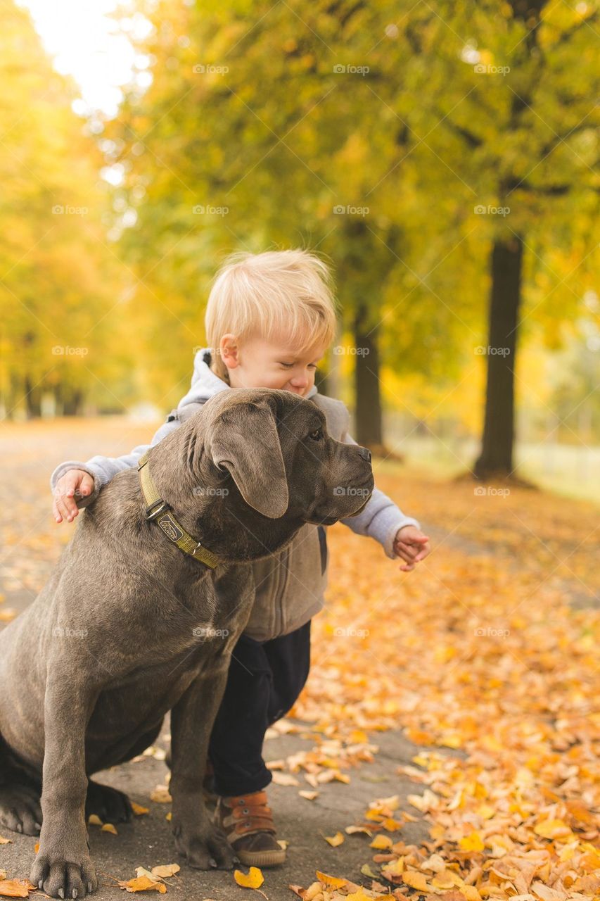 walking the dog down the street, the owner walks the weakling, teaches her, cleans up after her, educates, plays with his pet. people and dogs are best friends