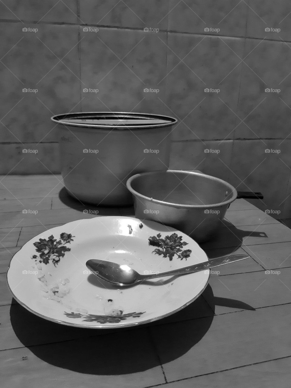 a fine art style of dinner utilities: plate, spoon, and pans on the table
