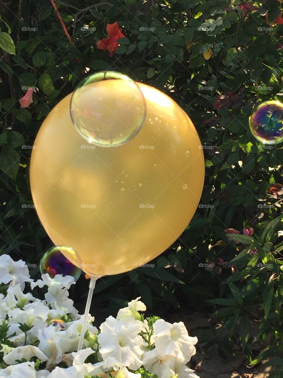 Balloon and Bubbles