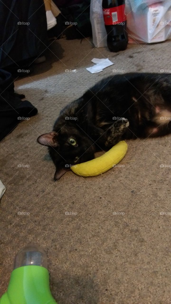 Kitty Banana