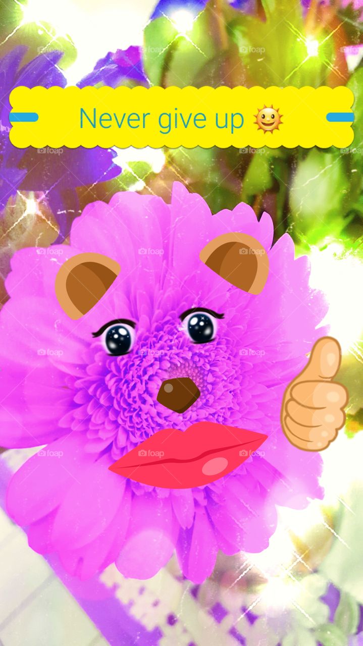 Never give up 🌞👍