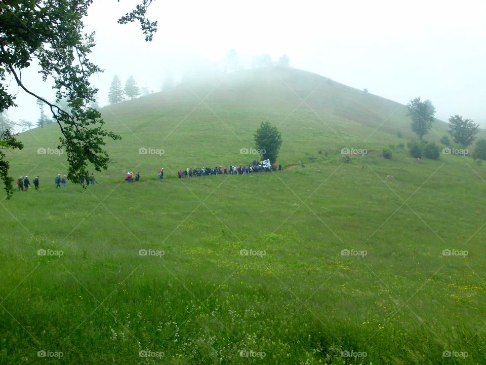 marching through green meadows through fog