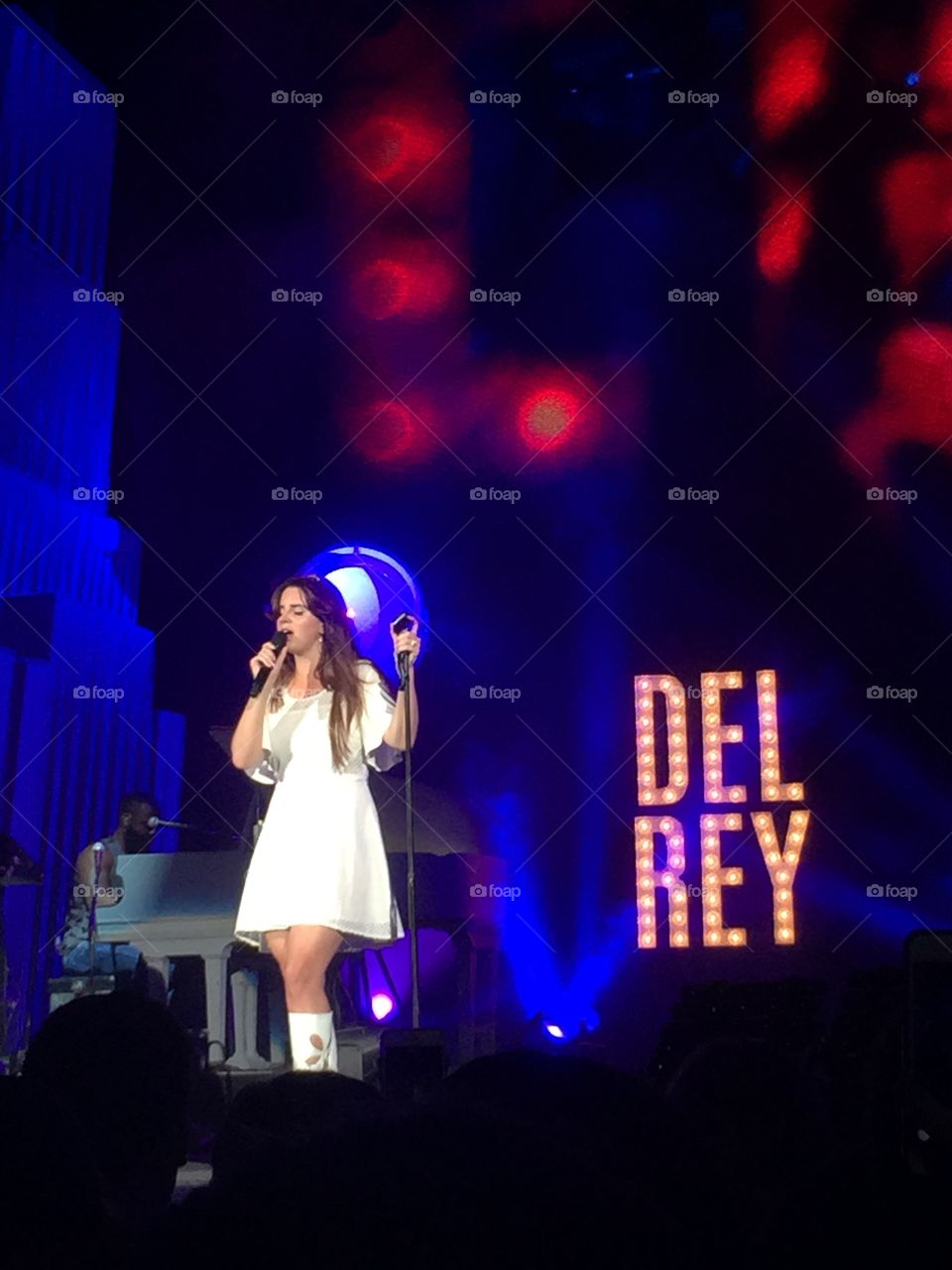Lana Del Rey from Ultraviolence concert