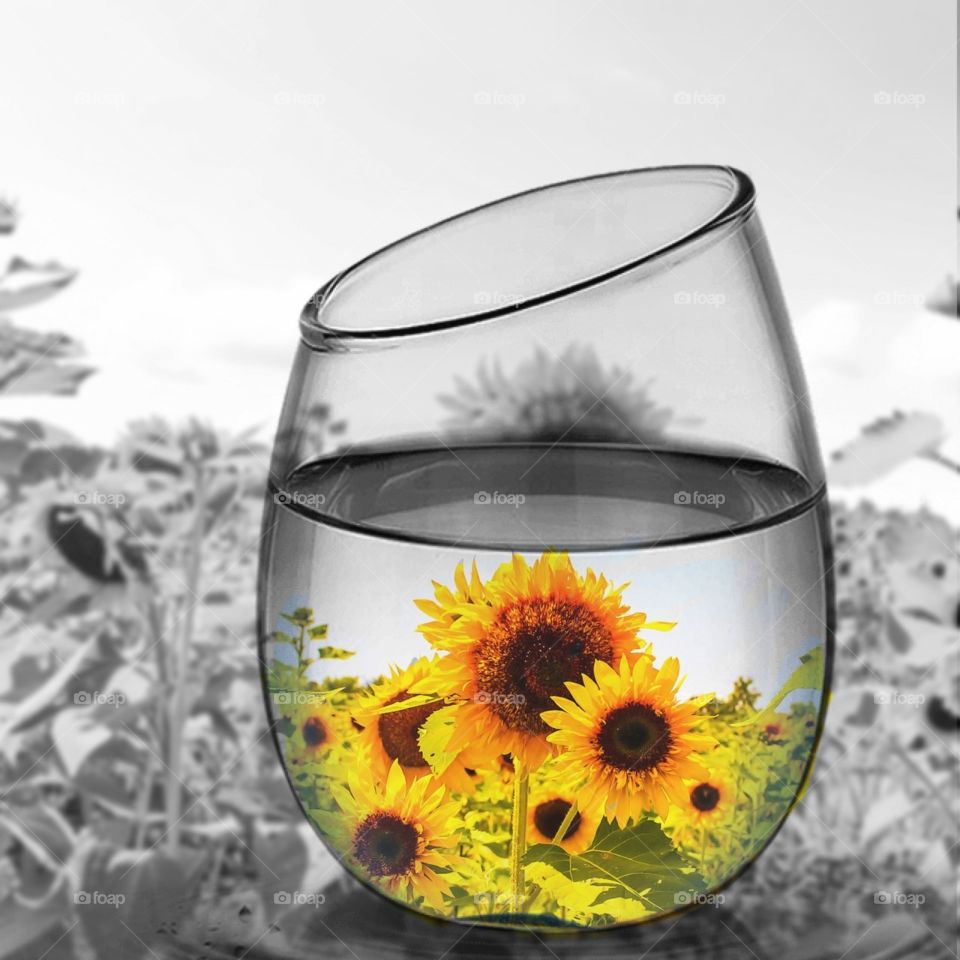 Sunflowers in a Glass