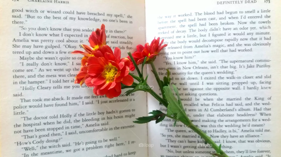 FLOWER