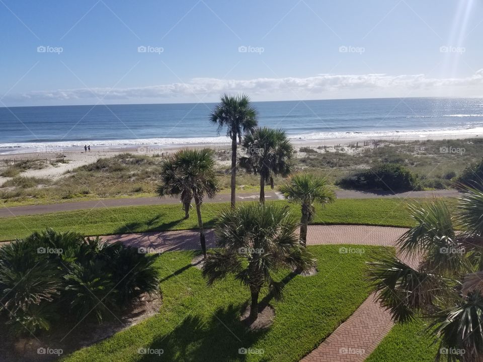 Amelia Island Plantation