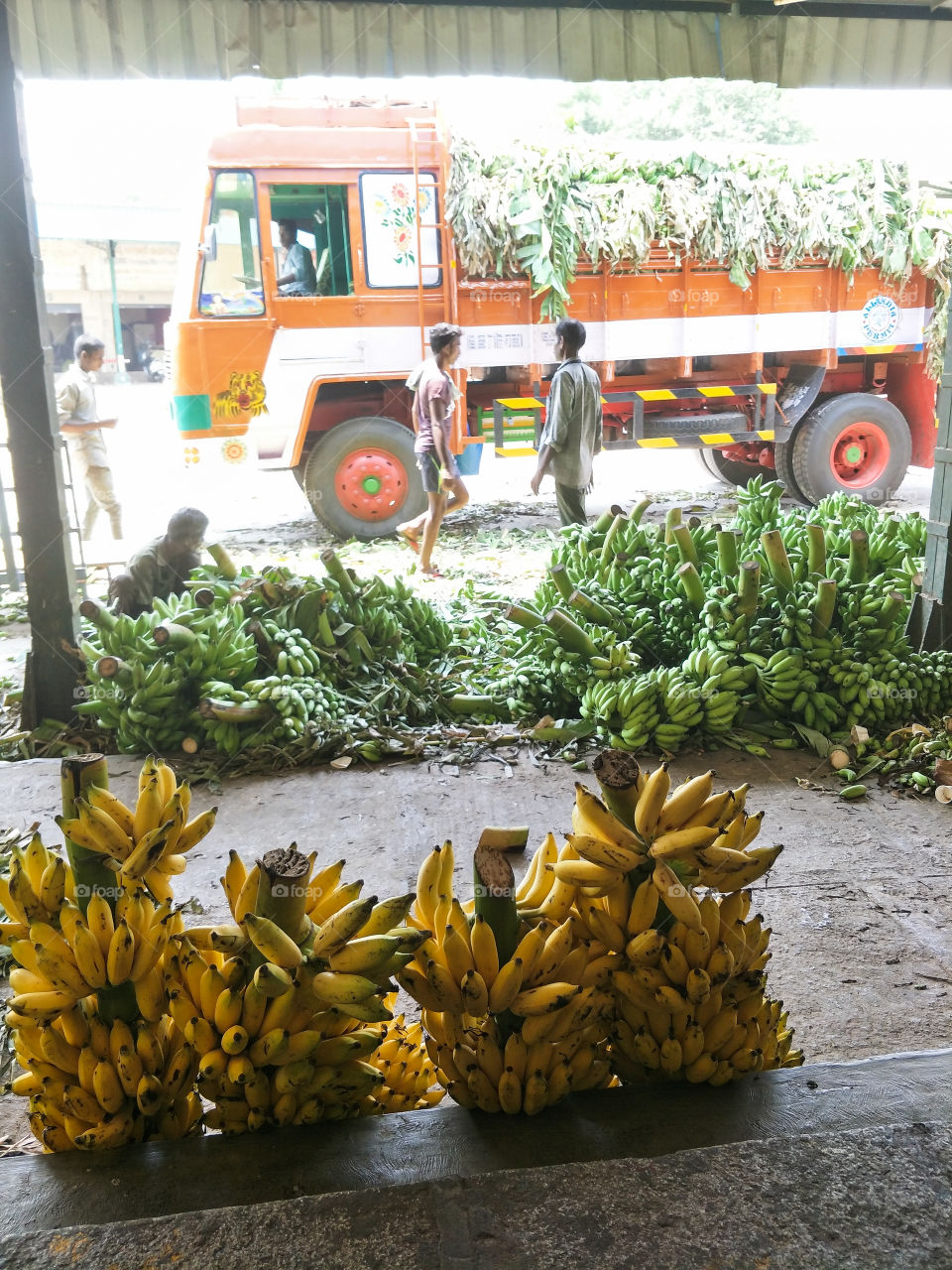 daily life plantain market