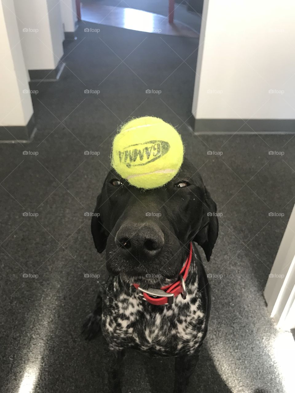 Don’t drop the ball