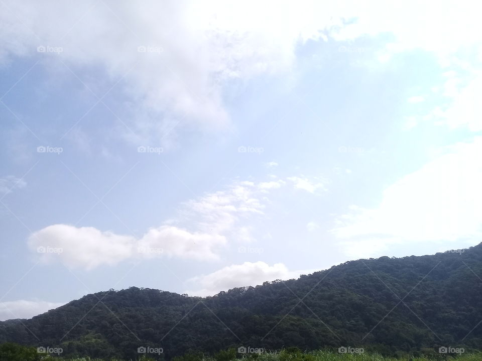 Atlantic forest.  Brasil. Sunny day in autumn