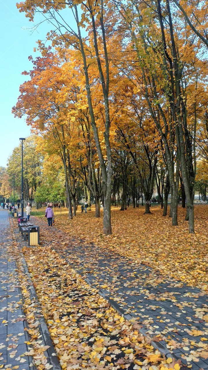 Fall Wins! (Bonus Exclusive Mission)