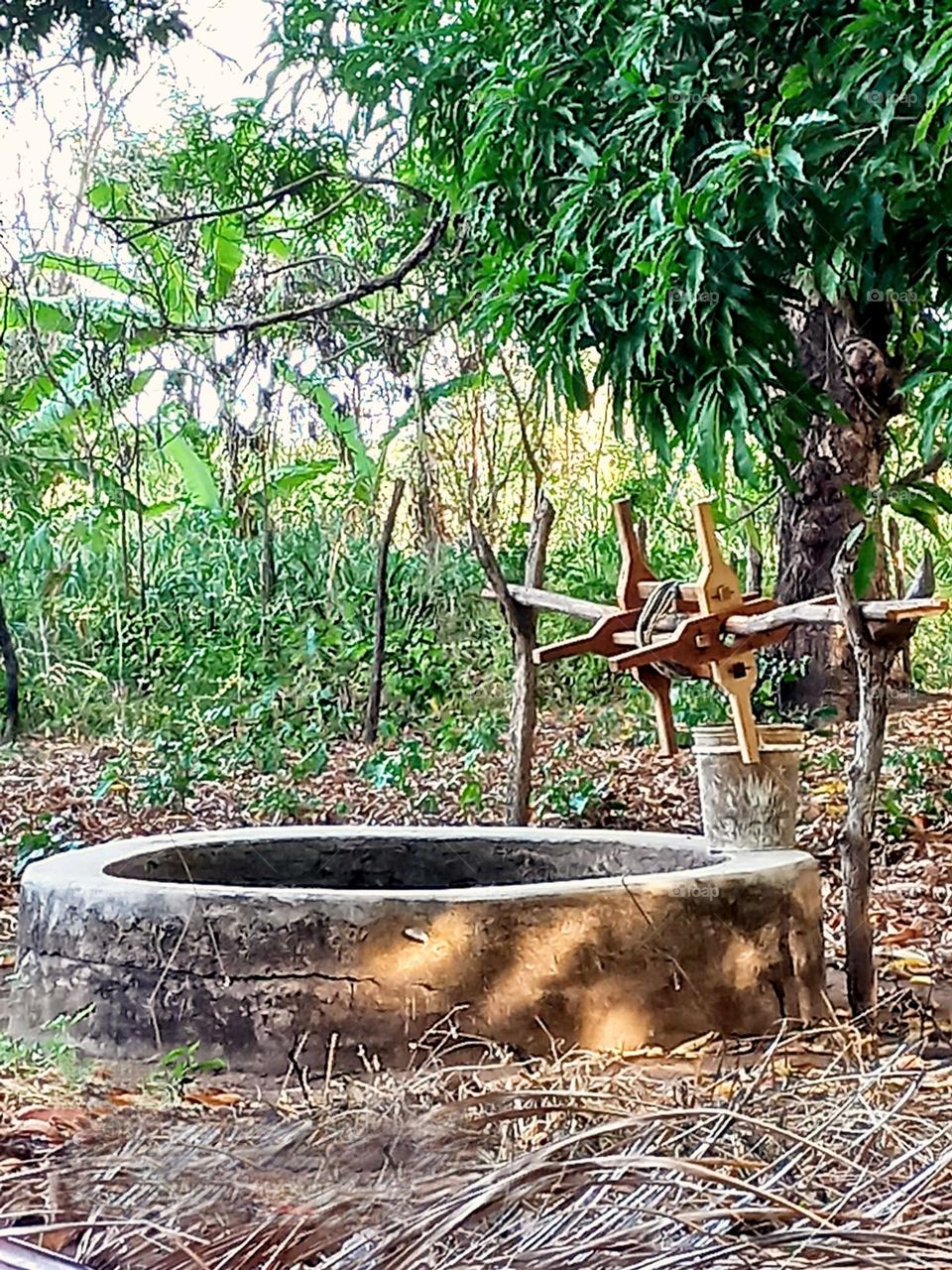 Water....liquid gold.!!! Do not waste ; )