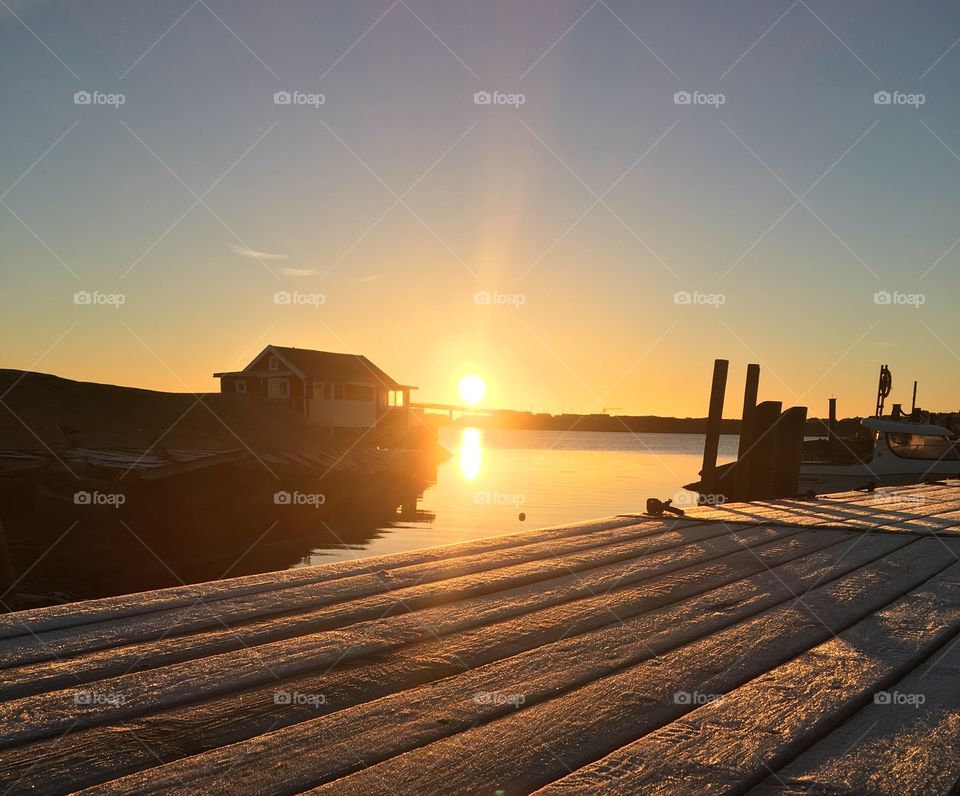 Frosty morning