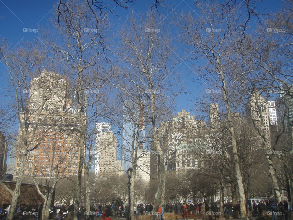 New York City USA downtown Manhattan’s skyline seen through winter trees rare clear blue sky December day